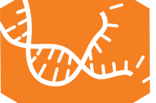 Xenium in situ Launch Event at UCSF Genomics CoLab