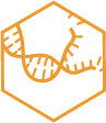 Genomics Icon